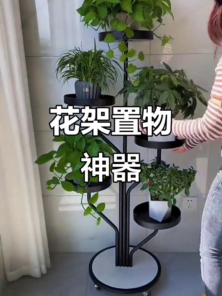 简约铁艺花架,适合阳台绿植摆放
