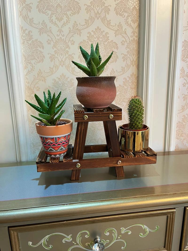 桌面小花架.#图文伙伴计划 生活明朗 万物可爱 实木花架子